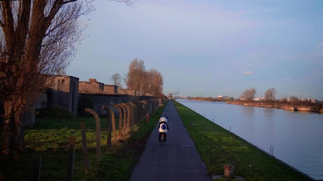 Panda driving a Minerva bycicle in 4k