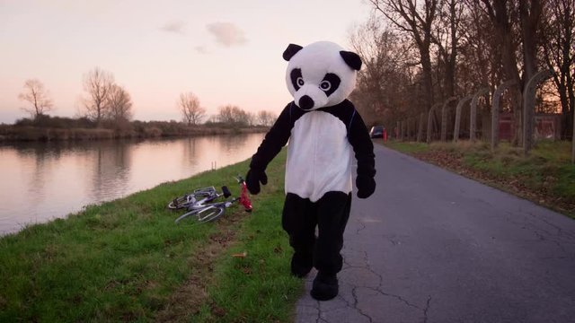 Panda walks away after falling from bike in 4k