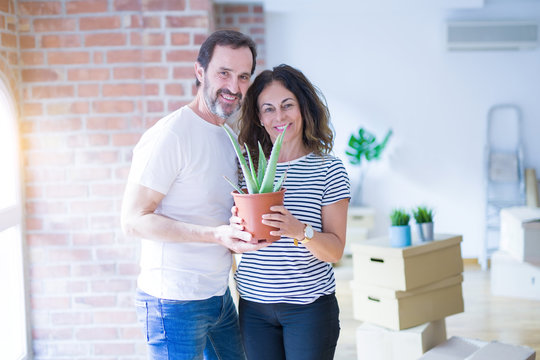 Middle age senior romantic couple holding aloe vera plant smiling happy for moving to a new house