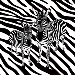 Zebra on abstract background, seamless pattern. Black and white, wild animal texture. design trendy fabric, illustration.