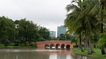 Public park in chatuchak area with cloudy