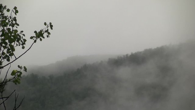Mountain on a rany day with moving fog.
