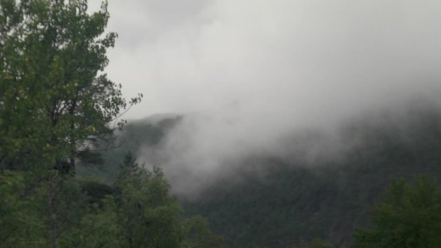 Mountain on a rany day with moving fog.