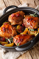 Baked chicken thighs with apples, cranberries and rosemary in a pan on the table. vertical
