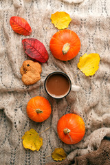 Cozy autumn morning with cup of cocoa and chocolate, dried oranges leaves, pumpkin and cookies on warming handcrafted plaid background, fall, halloween thanksgiving