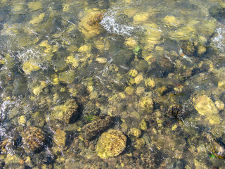 Clear water of river under sunlight. River stones in the clear river water. Background of river colored stones under water. Top view.