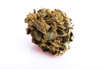 Dry marijuana bud on white background