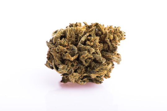 Dry marijuana bud on white background