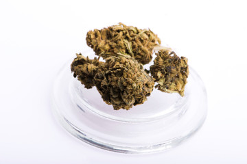 Dry marijuana bud on white background