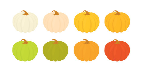 Botanical illustration of a pumpkin flat set of icons isolated on a white background. Halloween sign set