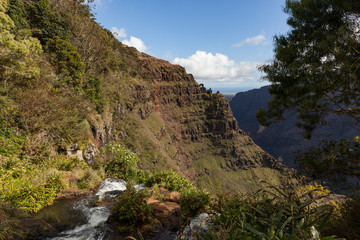 Tropical Cliff