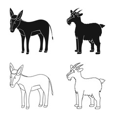 Vector illustration of breeding and kitchen symbol. Set of breeding and organic stock symbol for web.