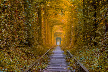 Fototapeta na wymiar railway through a tunnel of red autumn leaves