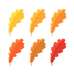 Set of colorful autumn oak leaves isolated on white background