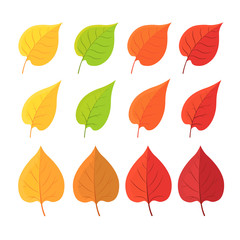 Autumn leave. Set of yellow red autumn leaf, fallen dry leaves isolated on white.