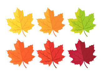 Autumn background with leaves. Maple leaf in red yellow brown and green - obrazy, fototapety, plakaty