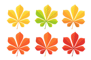 Autumn chestnut leaf isolated on white background. Flat design, vector