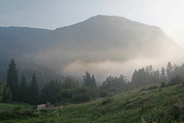 Morning for in mountains, Triglav National Park, Slovenia