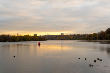 Sunset over the river. Gold autumn landscape in park with birds.
