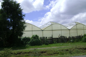 Obraz premium Afryka Południowa