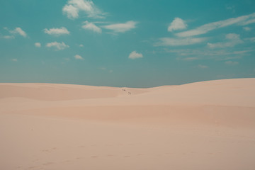 Fototapeta na wymiar Group of people walking in the desert