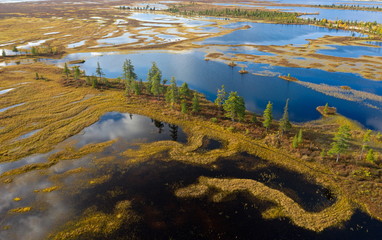 Bird's eye view of Yamal forest tundra