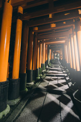 Kyoto Travel : Landscape of Fushimi Inari Shrine