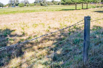 10 Picket fence with a strand of barbed wire along the top