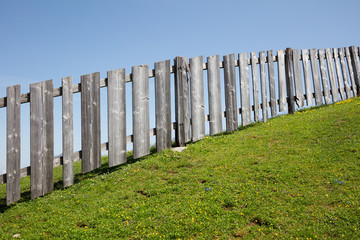 Wiese mit Zaun, Tirol, Österreich