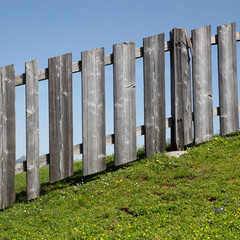 Wiese mit Zaun, Tirol, Österreich