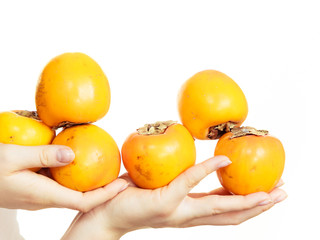 Hand holding persimmon kaki fruits, isolated