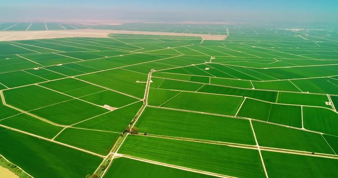 Intensive agriculture in a large farm with a lot of fields. This this an issue for the environment and pollution - aerial view with a drone - Agriculture and Landscape concept 4K