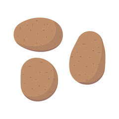 Potato isolated on white background. Vector illustration.