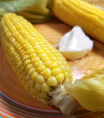 Boiled corn and butter on a plate ready for eating. Close-up image. Selective focus     