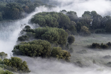 The misty forest, autumn landscape (Italy)