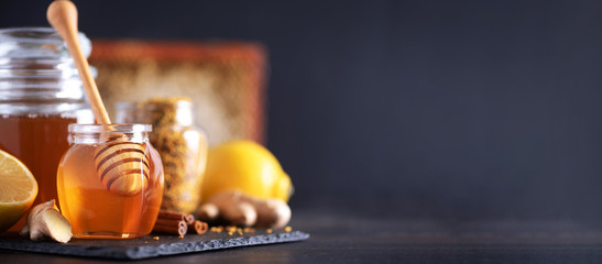 Ingredients for healthy hot drink. Lemon, ginger, mint, honey, apple and spices on dark background....