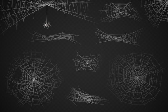 Spider web. Cobweb silhouette for halloween decoration, gossamer trap. Scary horror webs, spooky garden realistic web vector set