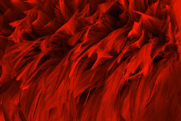 Beautiful dark red bird feathers pattern texture background.