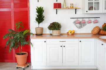 autumn kitchen decoration with pumpkins and oranges