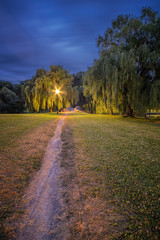 Vertical Night View of the Upper Onondaga Park Footbridge (3:2 Ratio Size)