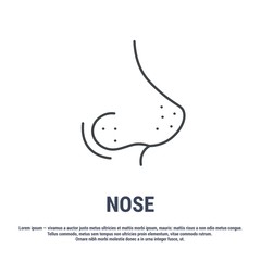 Vector icon. Line design. Nose, sense of smell organ. Anatomical structure of man. Disease and treatment. Symbol, element, sign, logo, emblem. Concept illustration.
