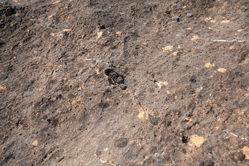 stone texture for graphic resource