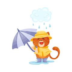 Cute tiger in a raincoat and with a gulet umbrella walks in the rain. Vector illustration.