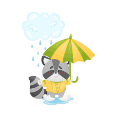 Humanized raccoon stands in the rain. Vector illustration.