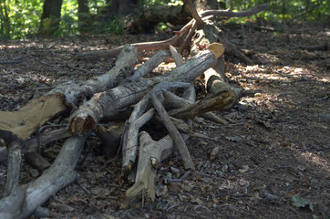 Tronchi di legna secca che verrà usata per il riscaldamento domenstico.