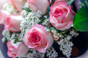 A bouquet of pink roses close-up 