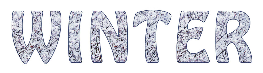 Inscription Winter with texture of snowy branches inside letters on white isolated background_