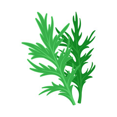 Green fresh leaves of Mitsun. Vector illustration on a white background.