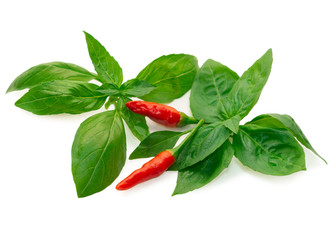 green basil leaves and chili red peppers isolated on white background