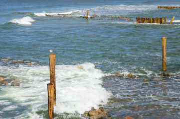 Breakwater on the shore in the Baltic sea. Seascape in the Kaliningrad region